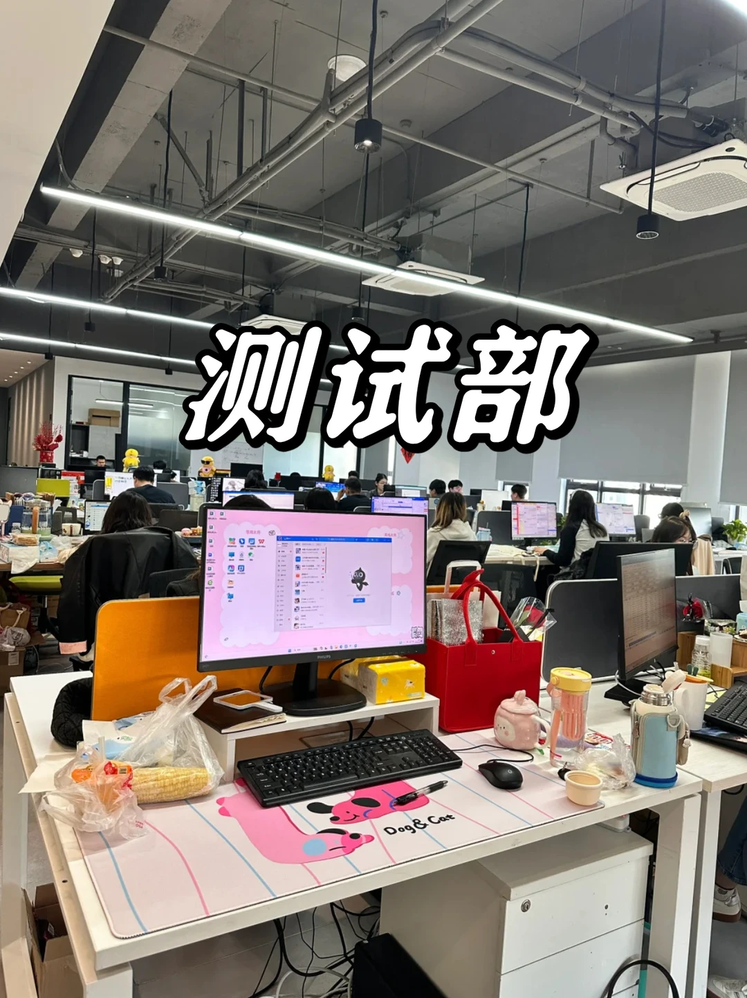 真的不想打击AI测试的小朋友但我想说...-夜雨聆风