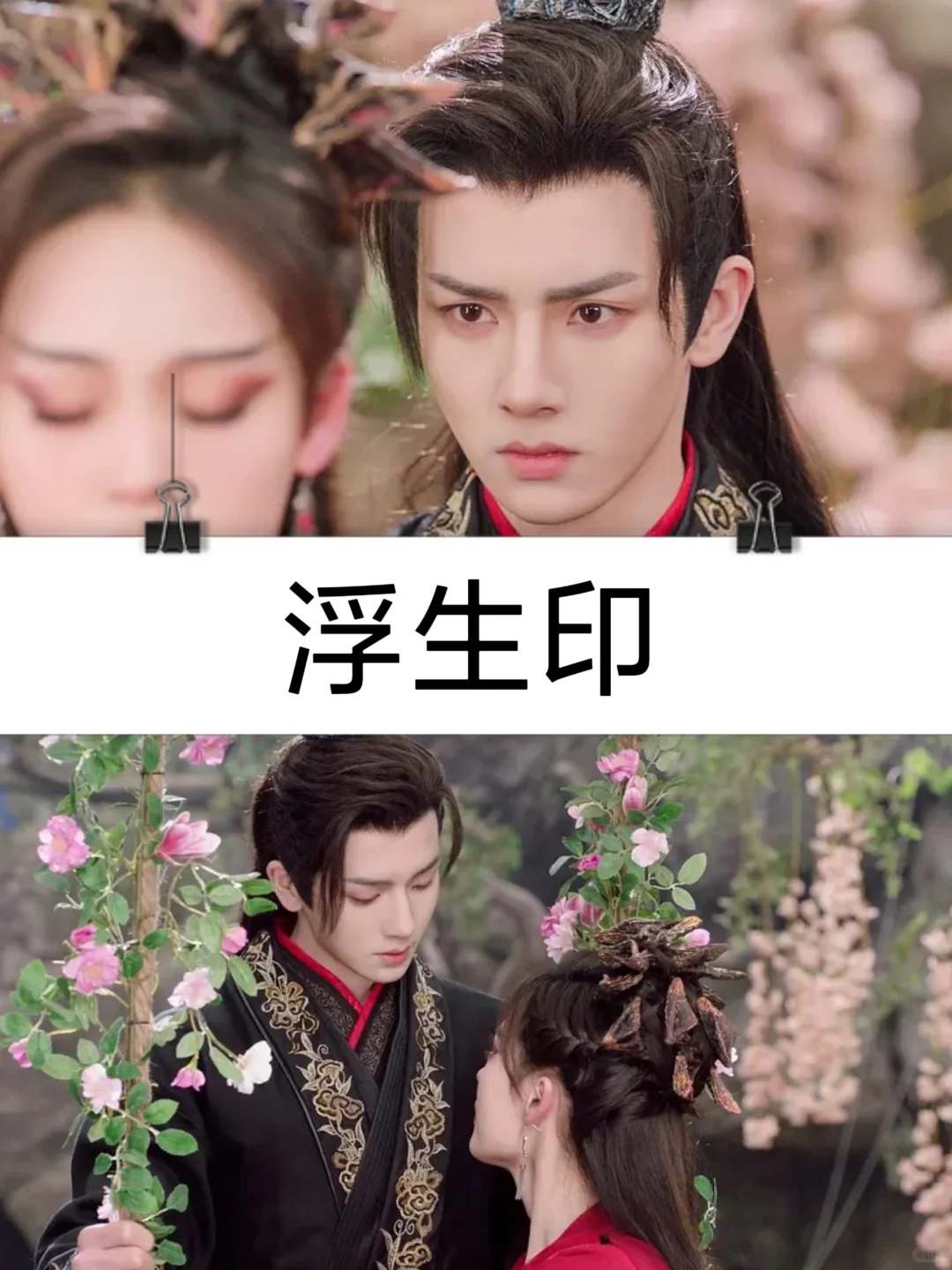 12部经典高分短剧推荐第二弹！！！！