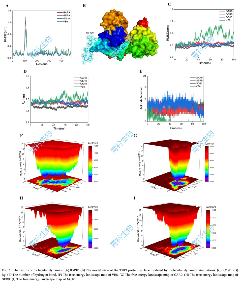 分享★分子对接★第二期常见问题与软件分享