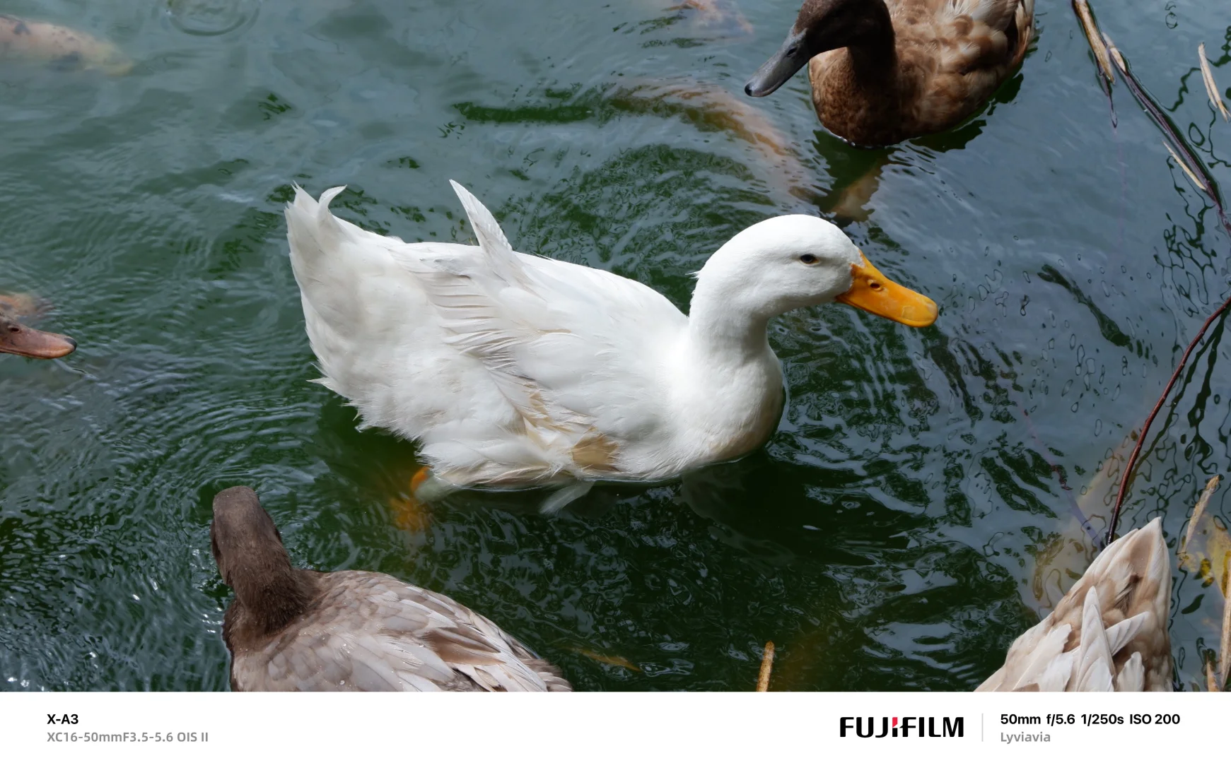 🎞️ 宝藏APP FUJISTYLE