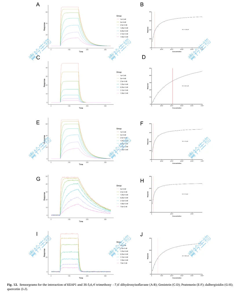 分享★分子对接★第二期常见问题与软件分享