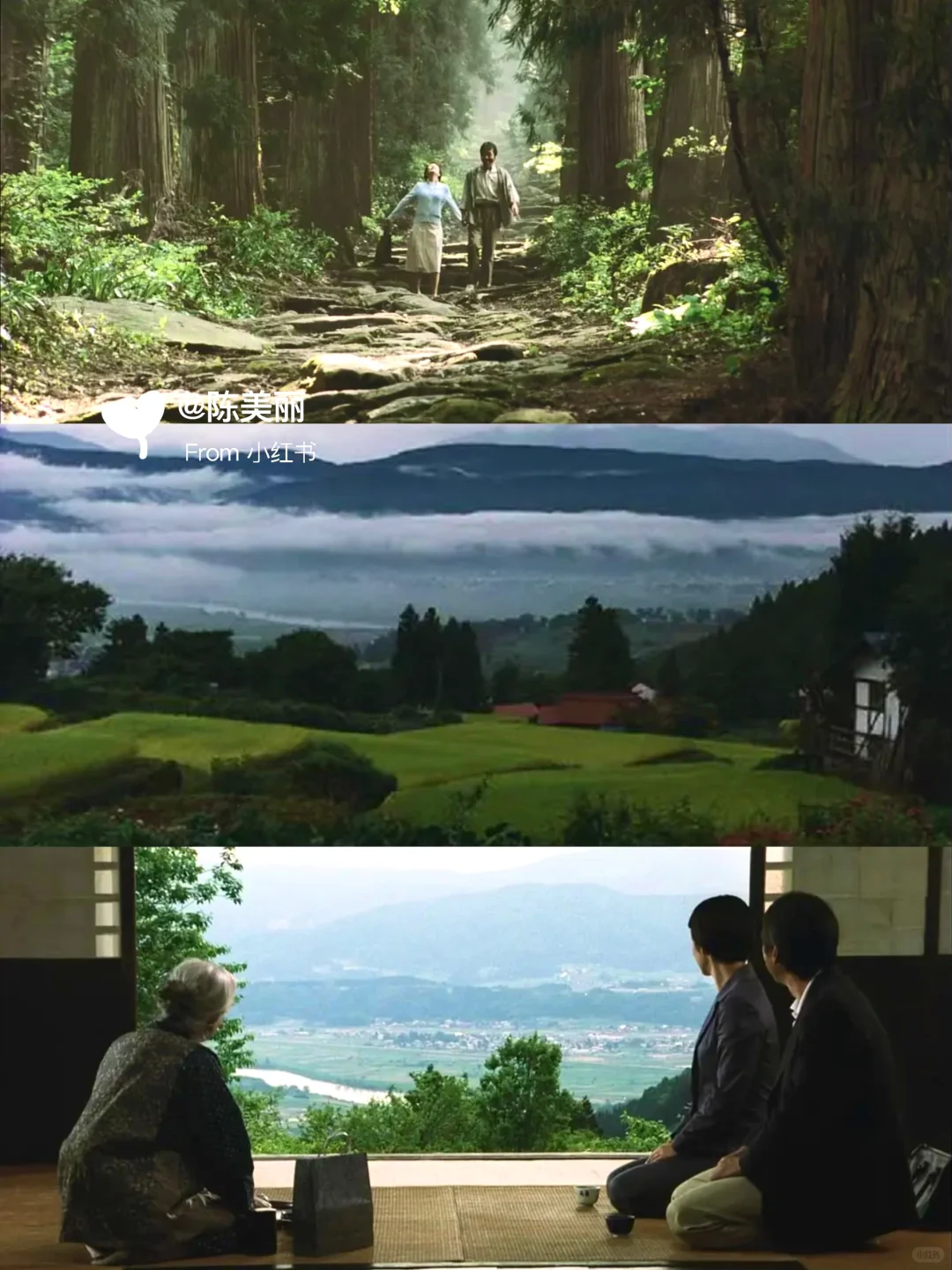 ✨周末观影｜适合窝在沙发看的日本电影清单🍿