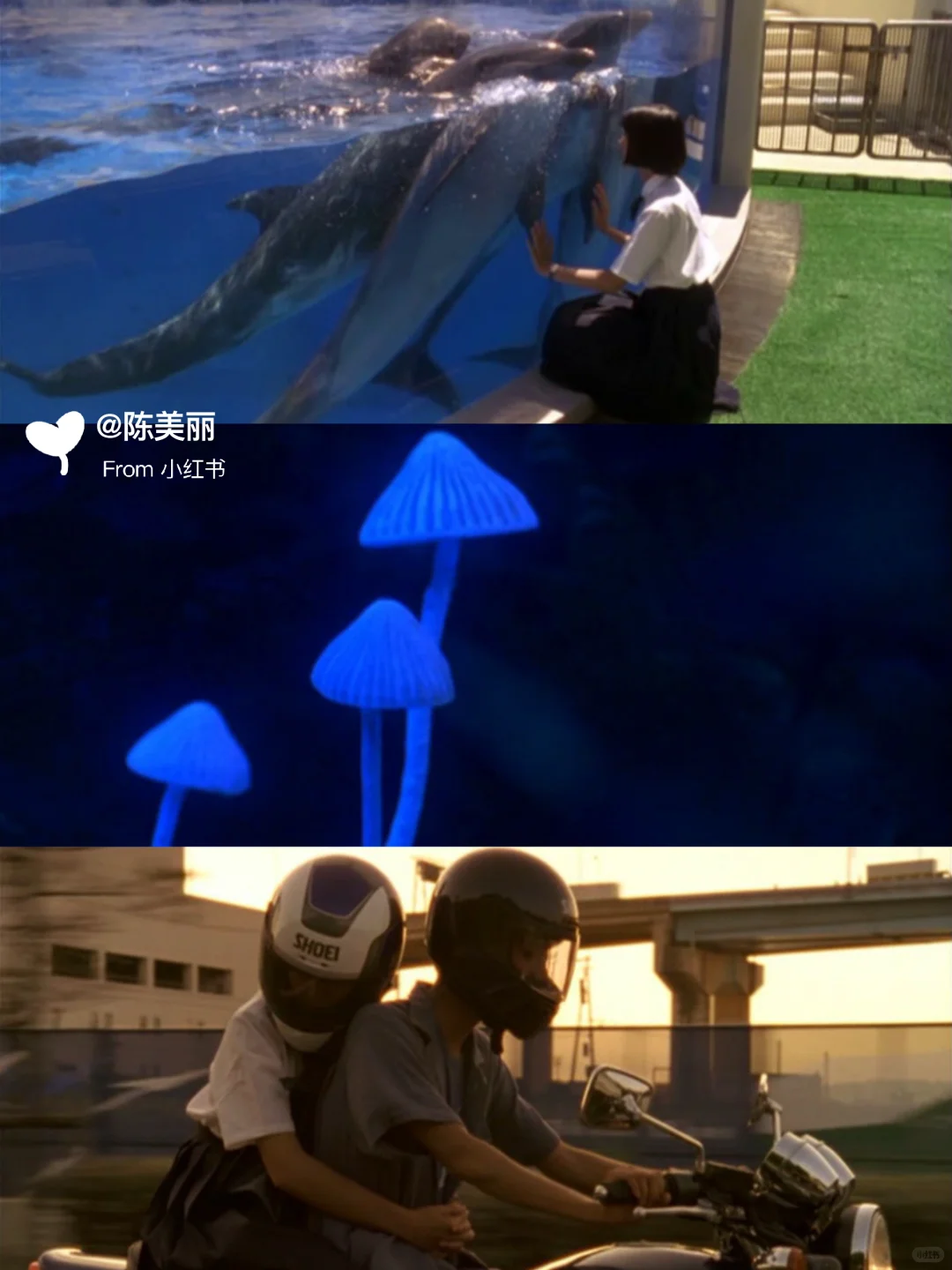 ✨周末观影｜适合窝在沙发看的日本电影清单🍿