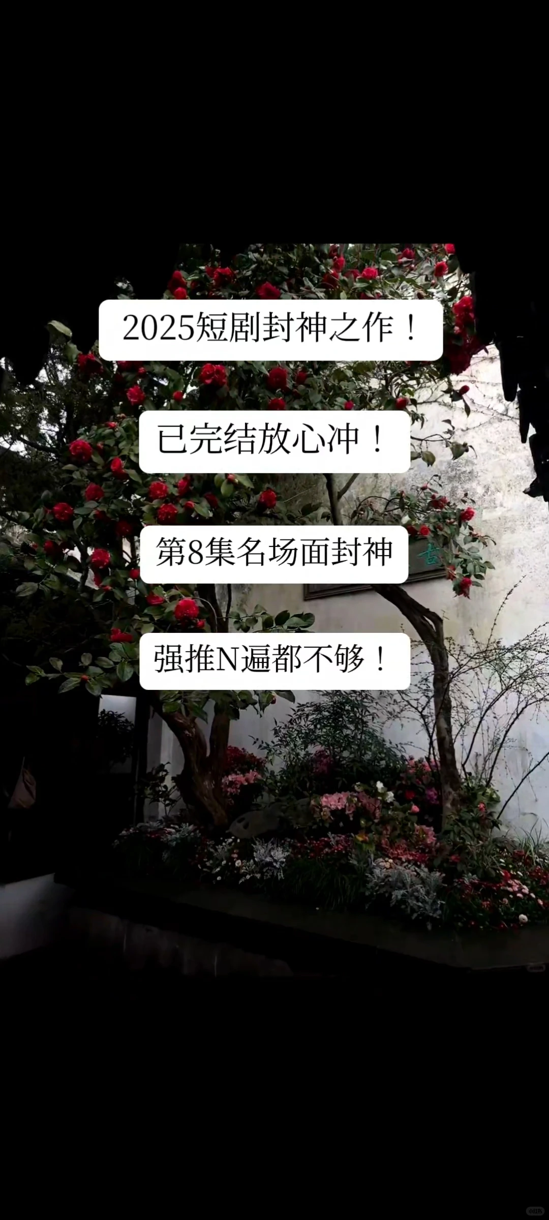 微短剧天花板！全集已更完！