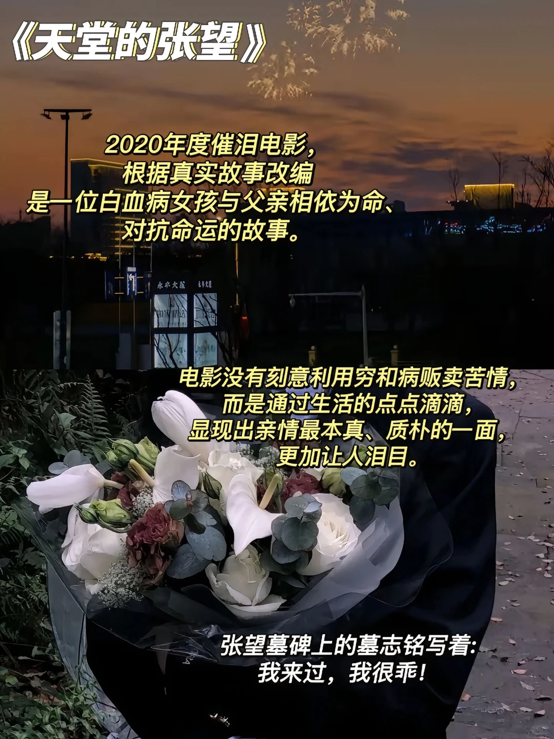 催泪电影推荐❗️后劲很大😭谨慎观看！