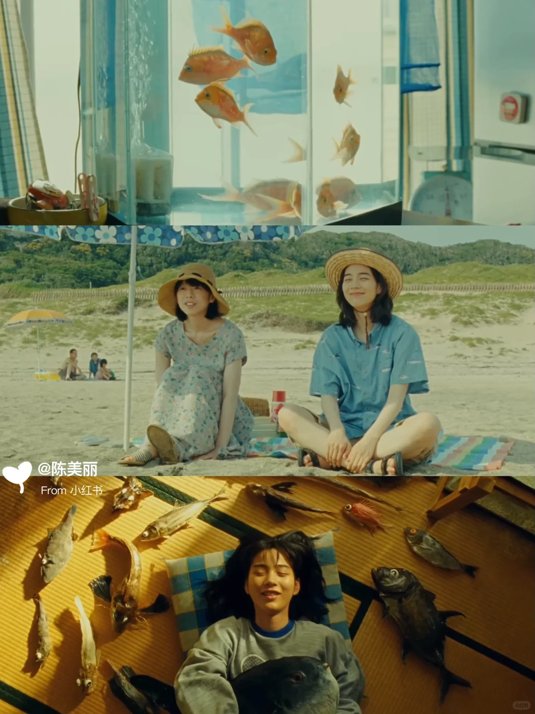 ✨周末观影｜适合窝在沙发看的日本电影清单🍿