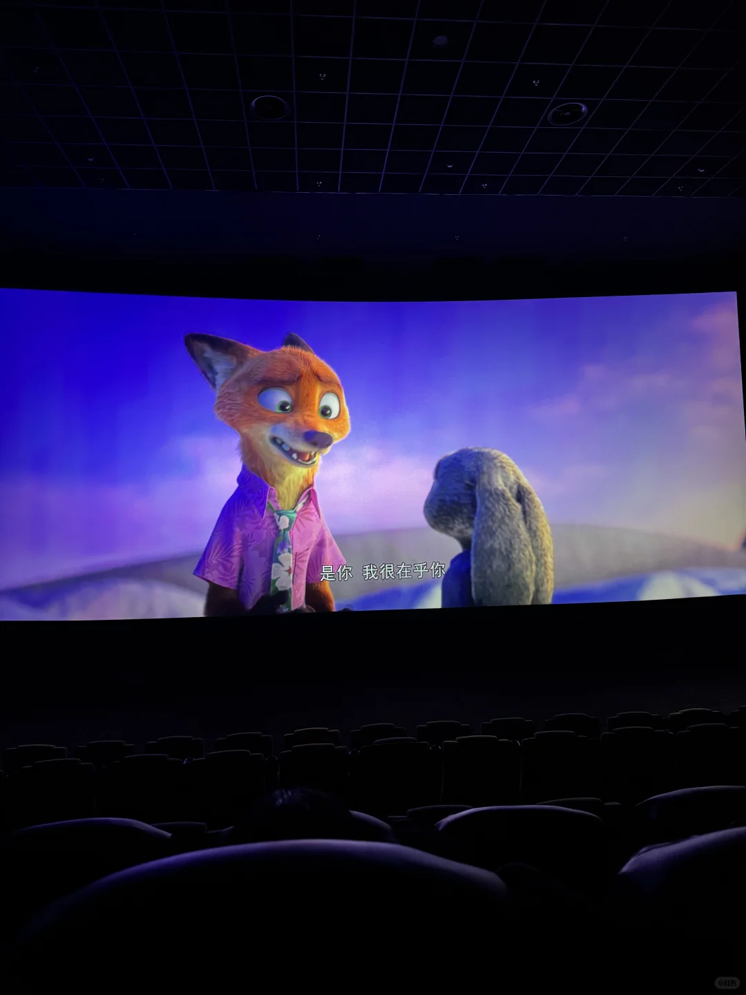 不是第一次一个人去看电影🐰🦊