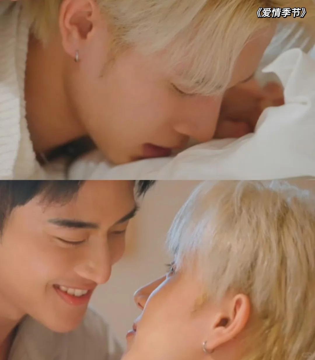 这才是成年人看的BL❗️大尺du😍动作片