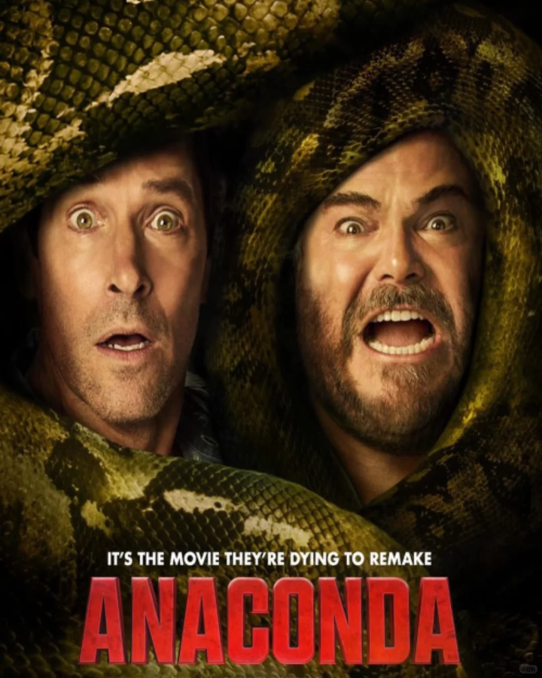 2025年12月上映的14部精彩电影