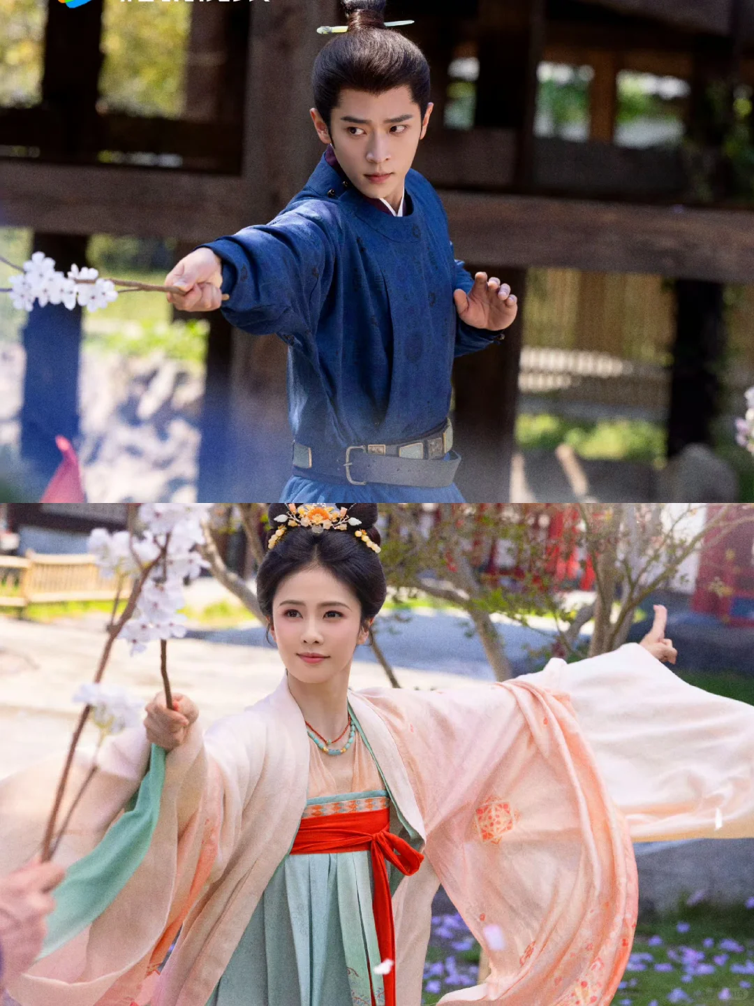 新剧来袭❗️白鹿❌️丞磊 !先婚后爱‼️