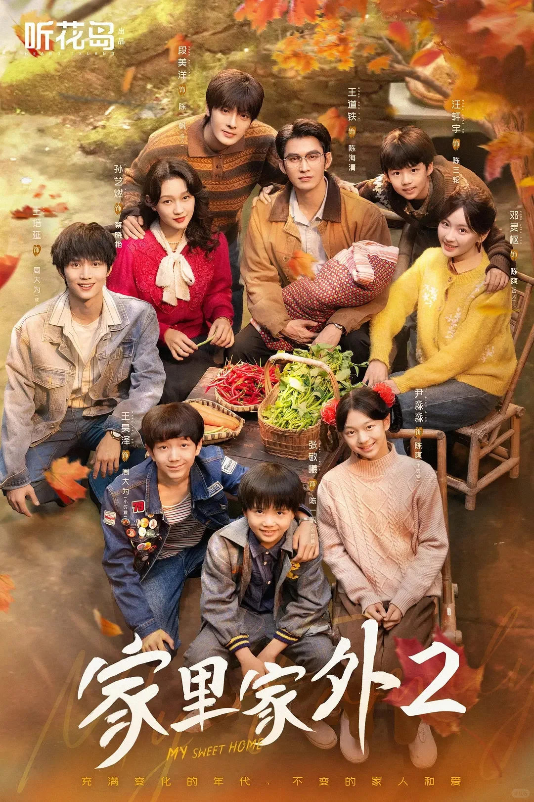 短剧精品 温馨治愈必看短剧《家里家外2》