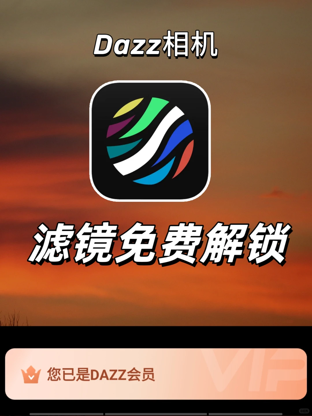 只有1%的人才知道的免费下载dazz相机的方法