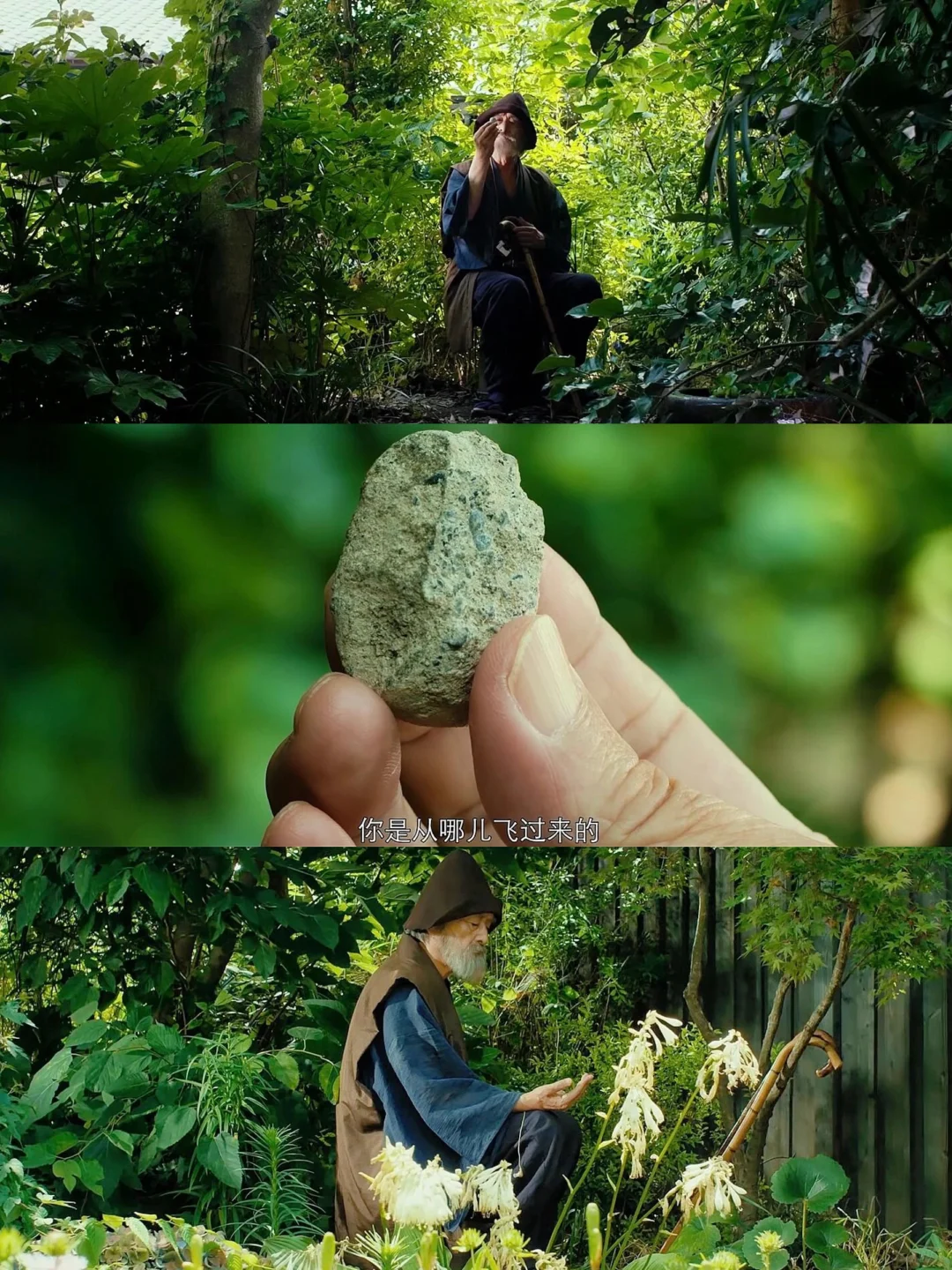 这部电影真的治好了我的焦虑😭