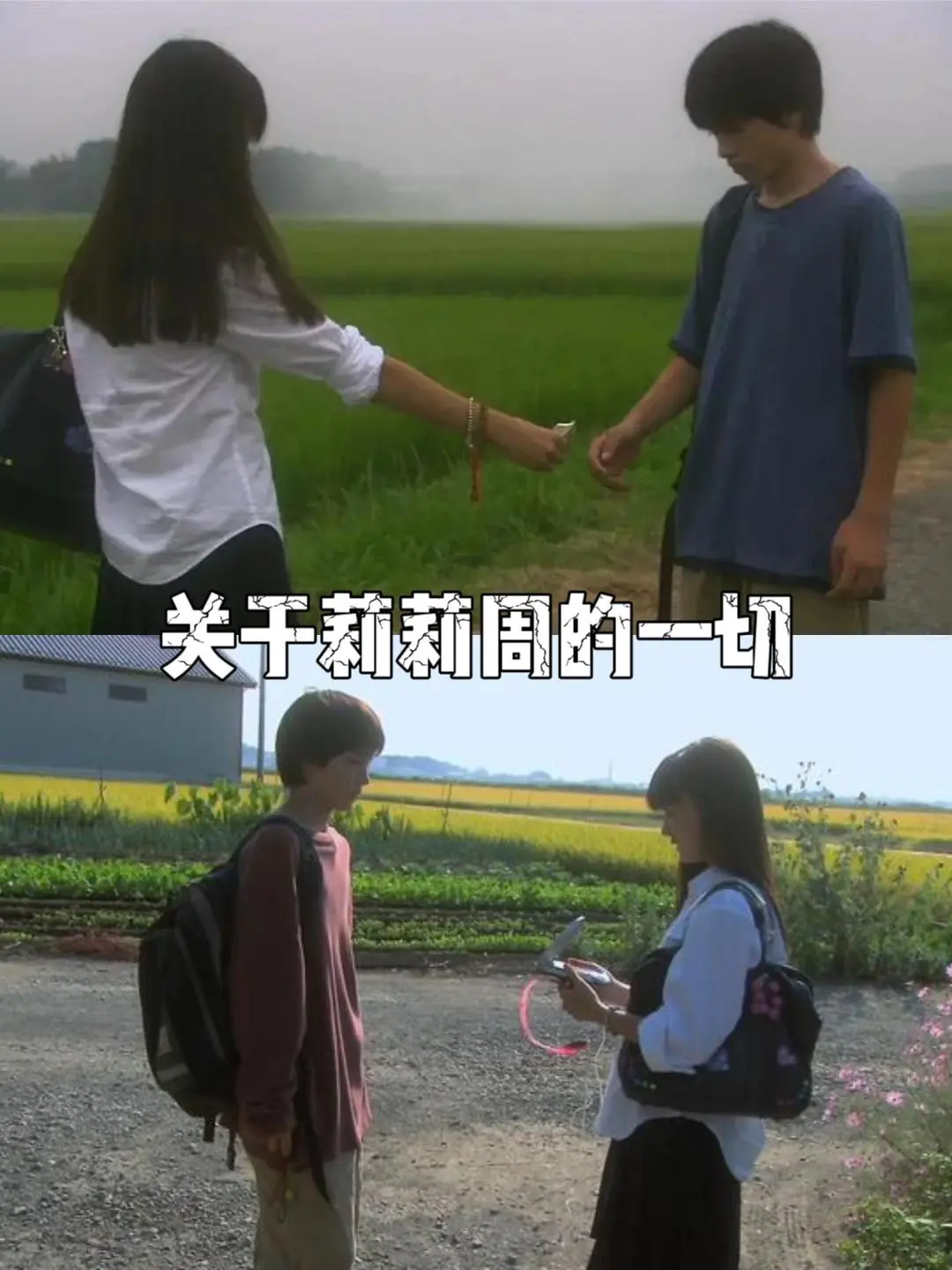 10部校园暴力电影。