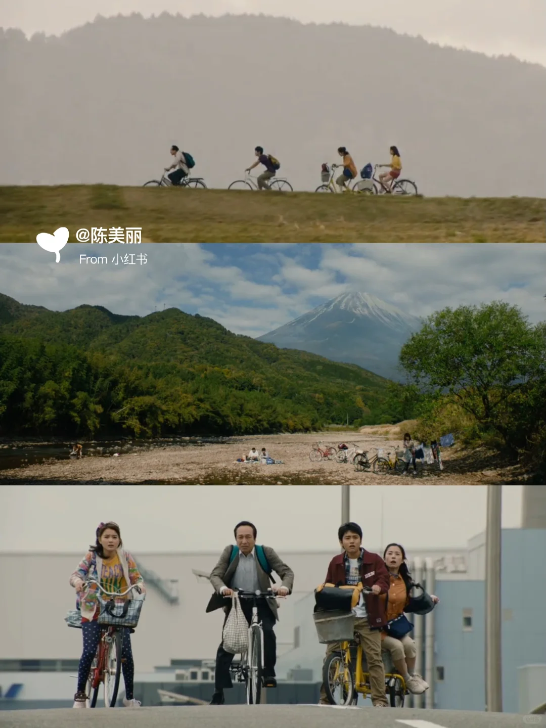 ✨周末观影｜适合窝在沙发看的日本电影清单🍿