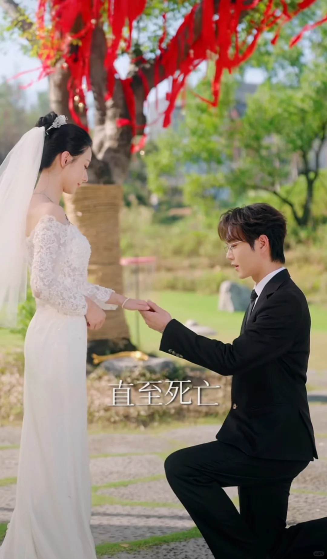 《婚情不负好春光》 短剧推荐！