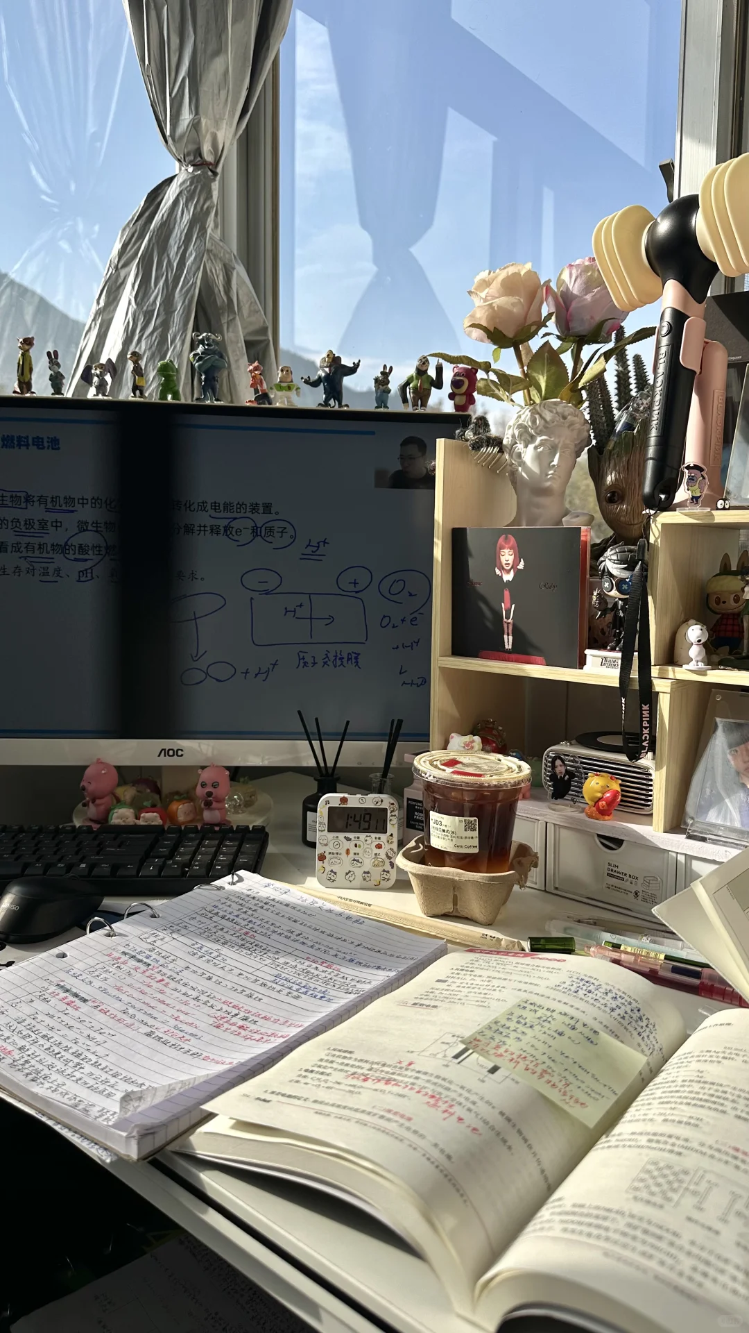 没人告诉我自律石头这么有用？