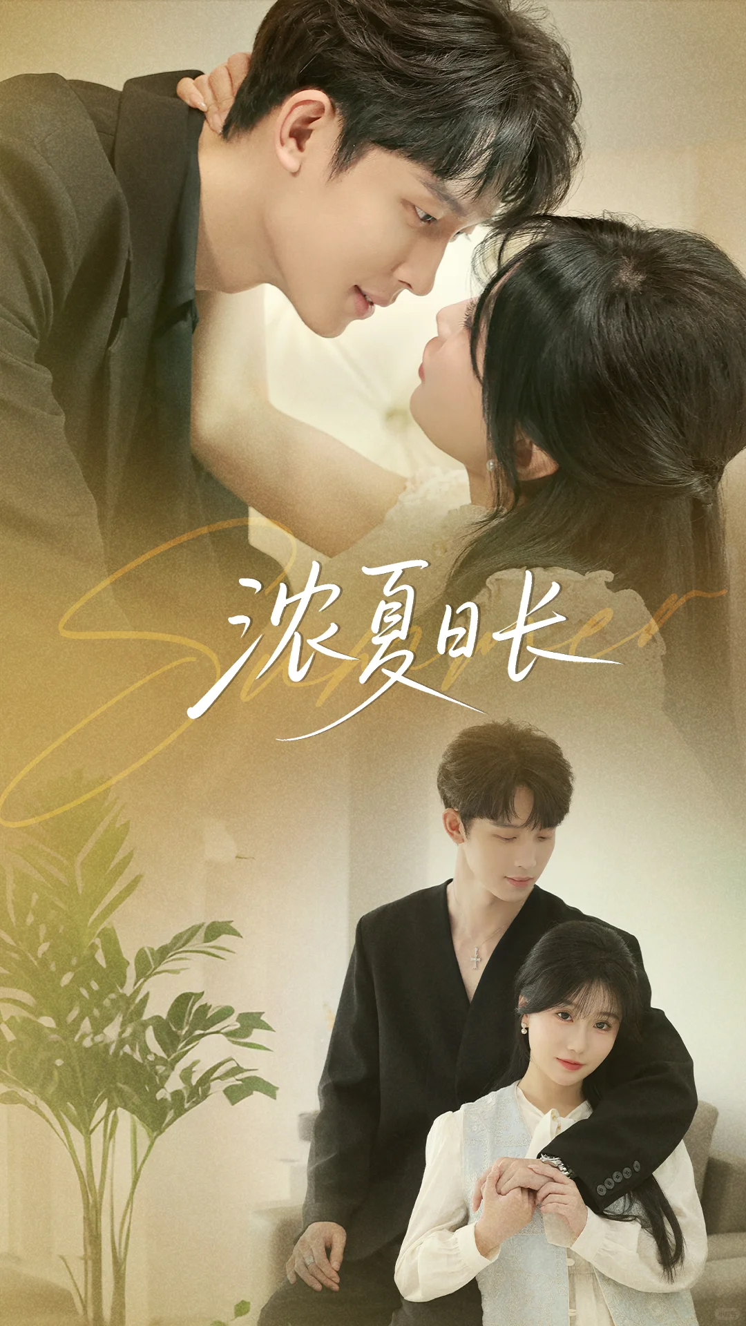 这部短剧绝了！简直是爱与复仇的双向狩猎