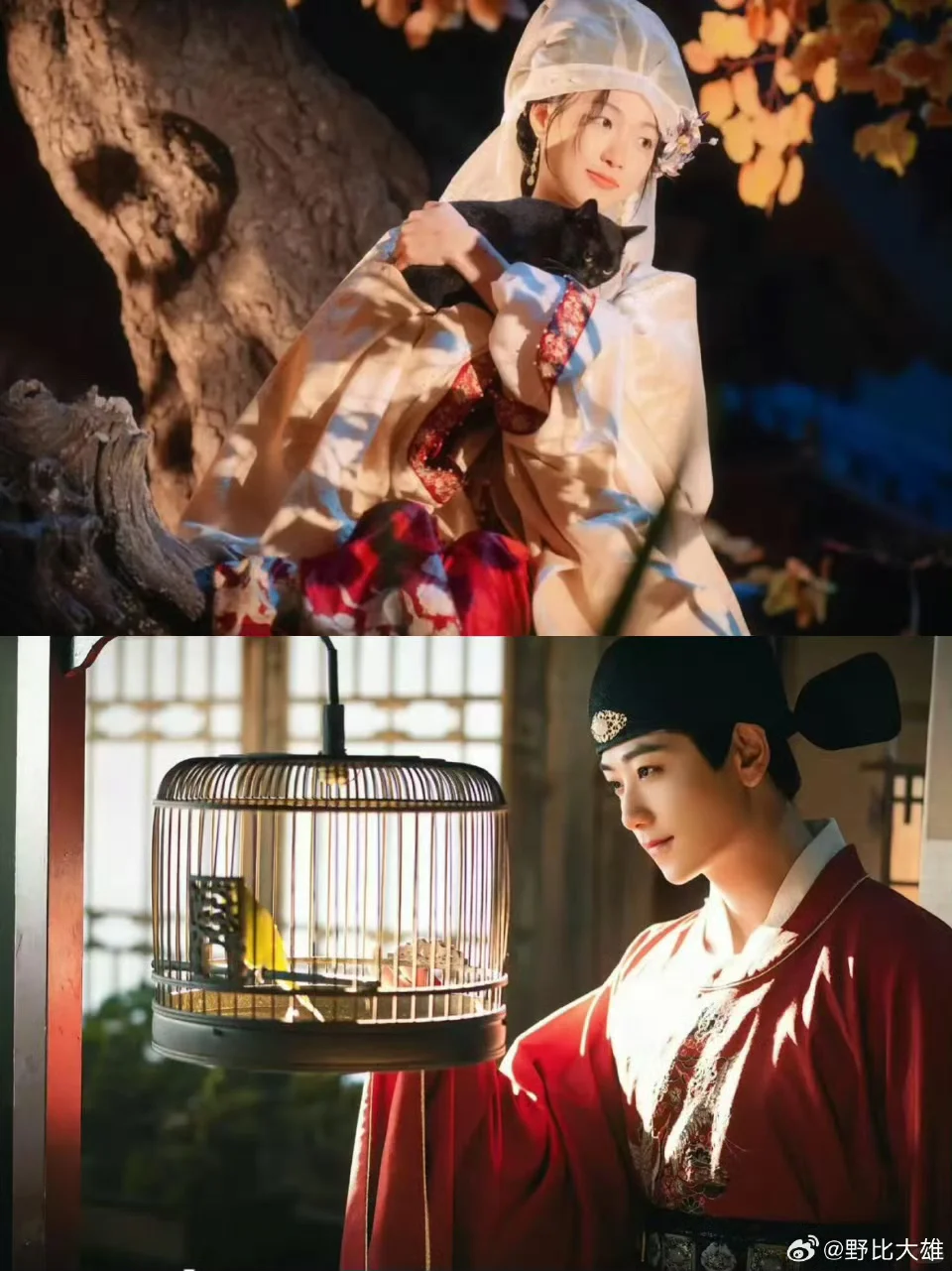 横屏短剧《绮梦令》推荐