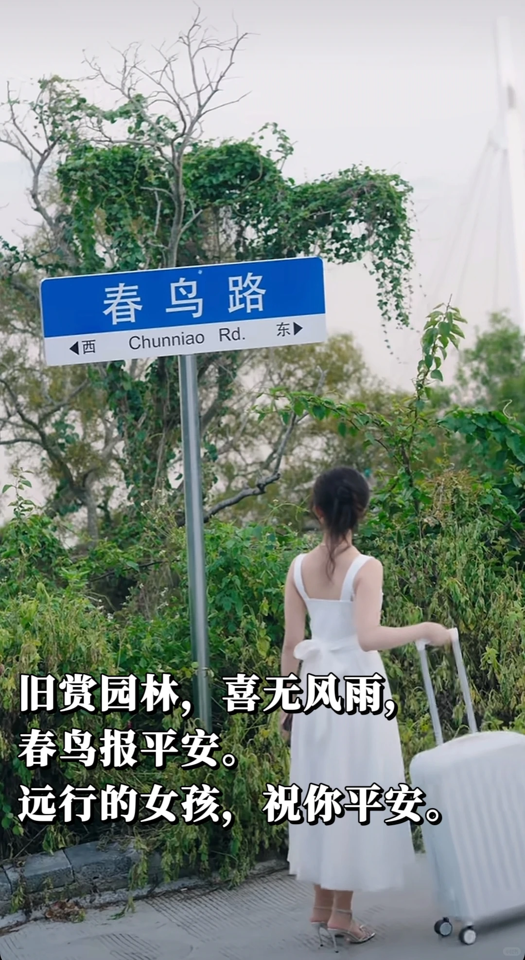 完了!看完这部短剧,要长脑子了!