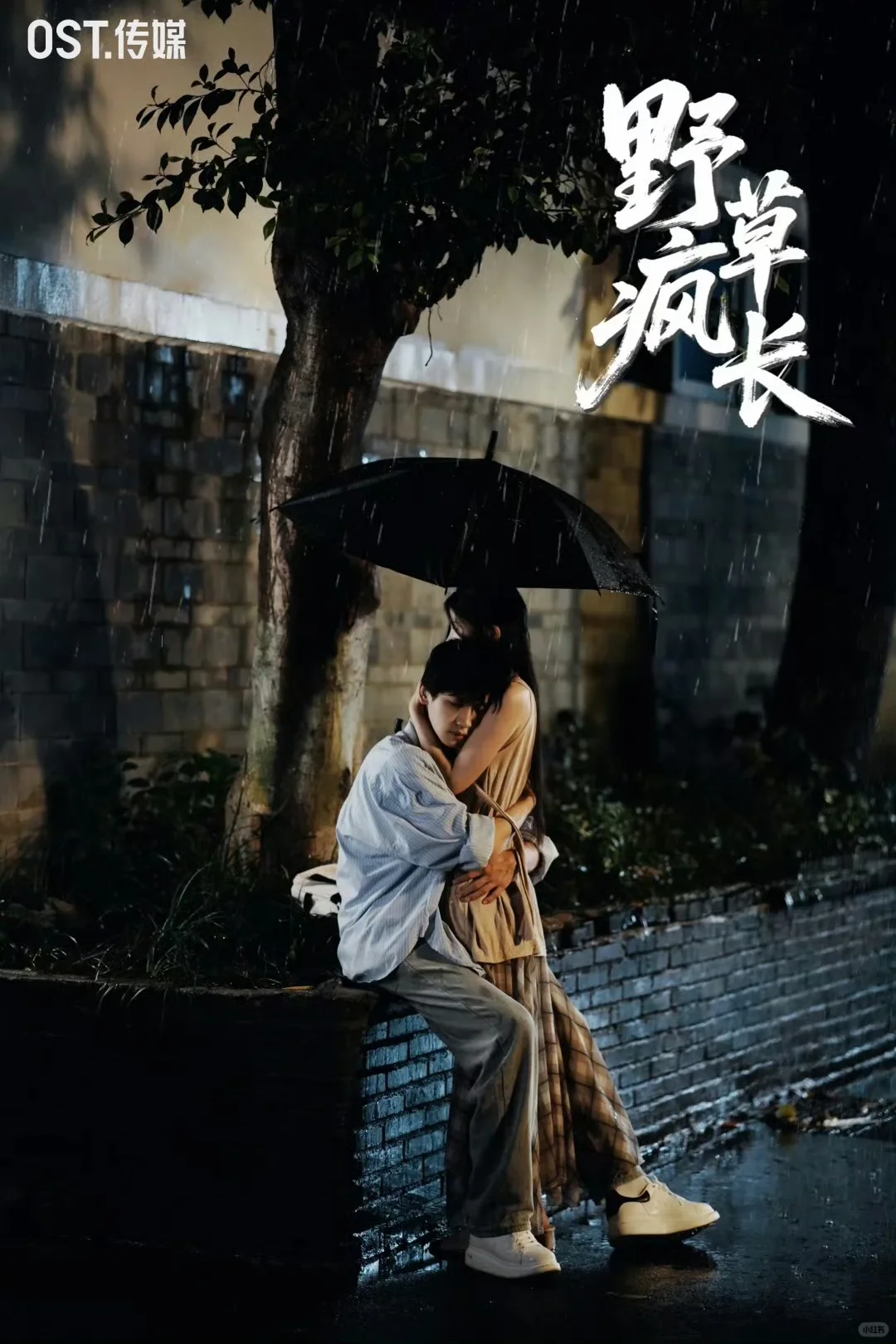 推荐短剧《野草疯长》