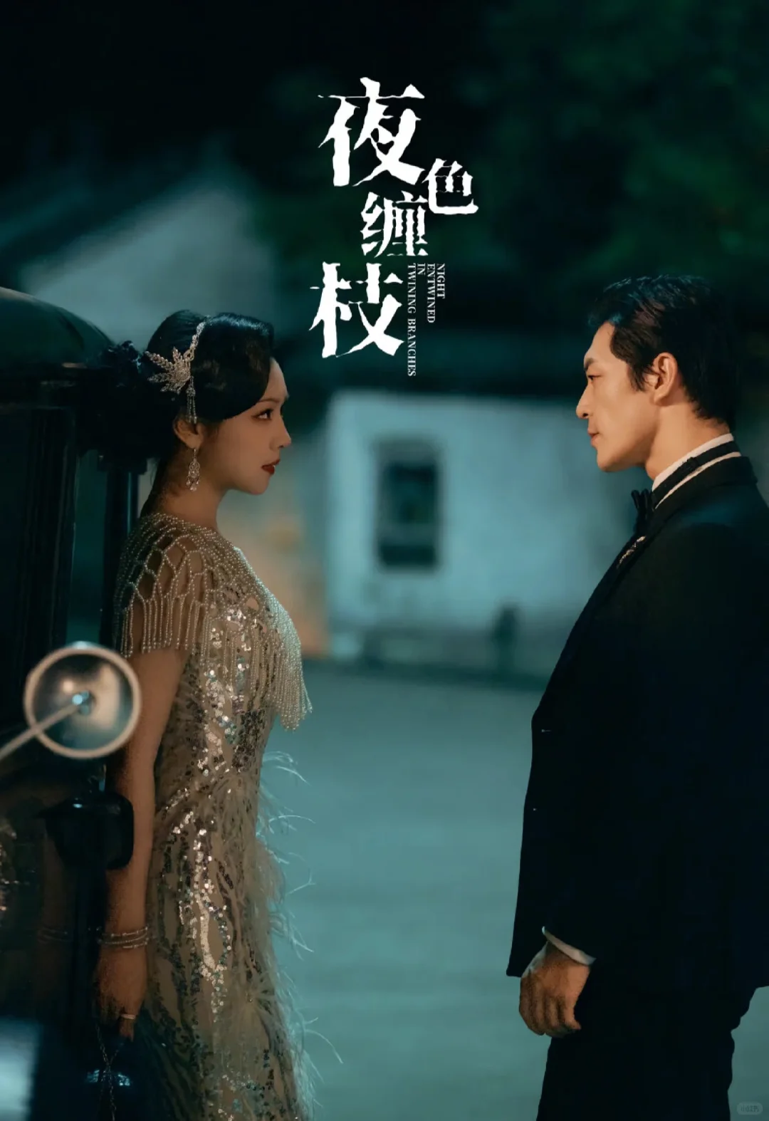 夜色缠枝,好看,冲冲冲!