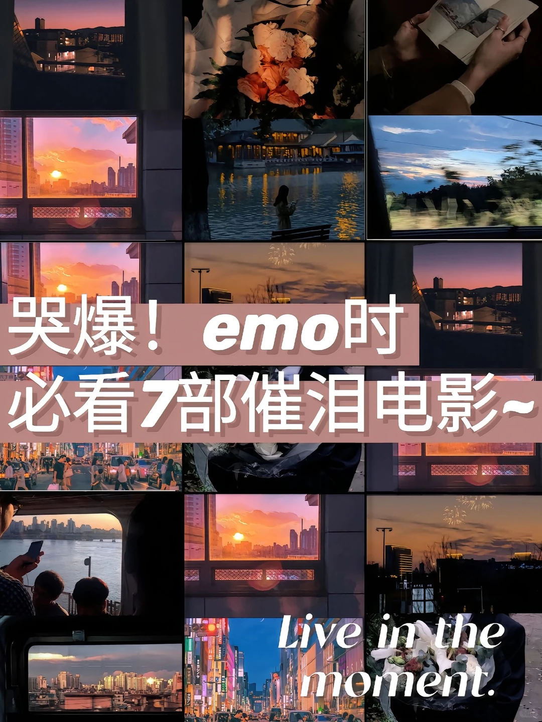 催泪电影推荐❗️后劲很大😭谨慎观看！