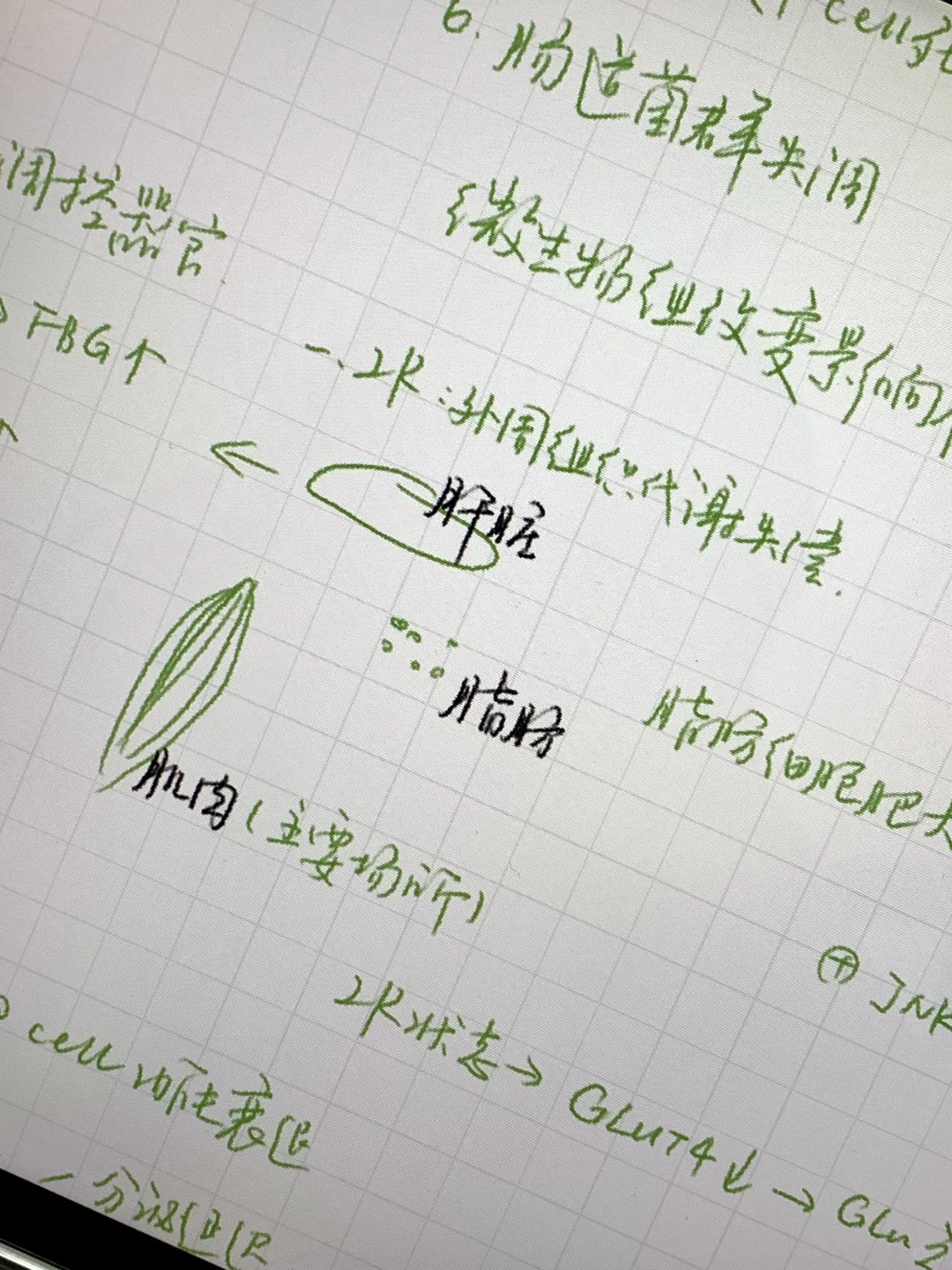 对这个软件开发不足百分之十