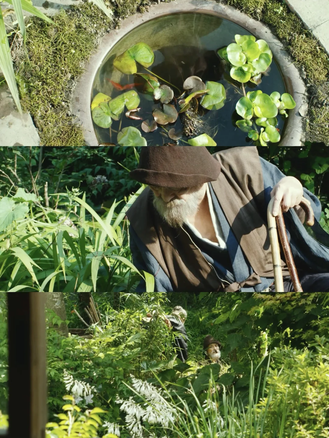 这部电影真的治好了我的焦虑😭