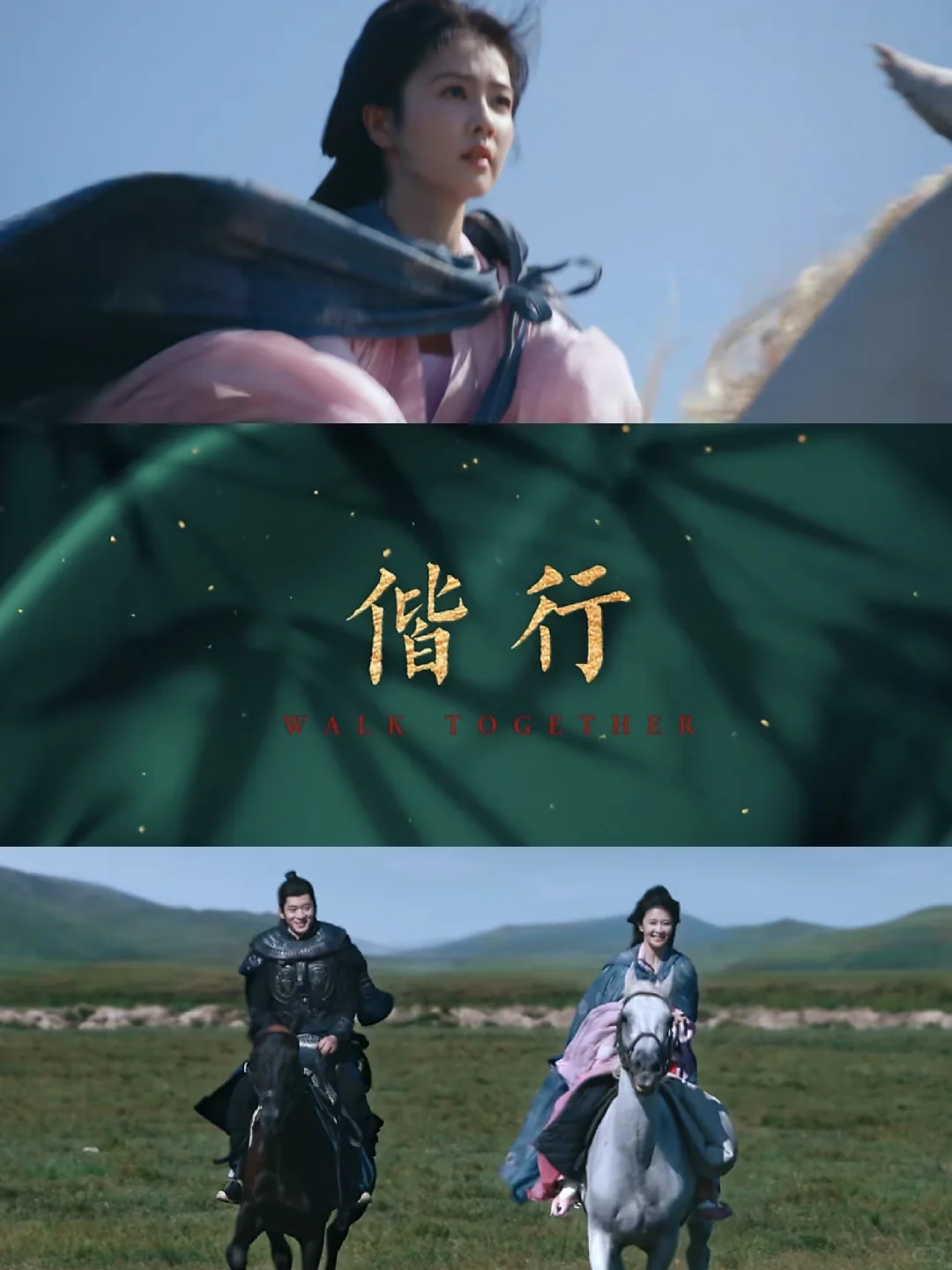 新剧来袭❗️白鹿❌️丞磊 !先婚后爱‼️