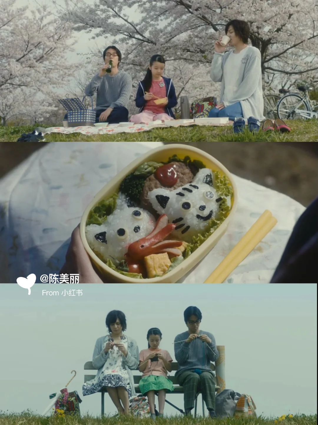 ✨周末观影｜适合窝在沙发看的日本电影清单🍿