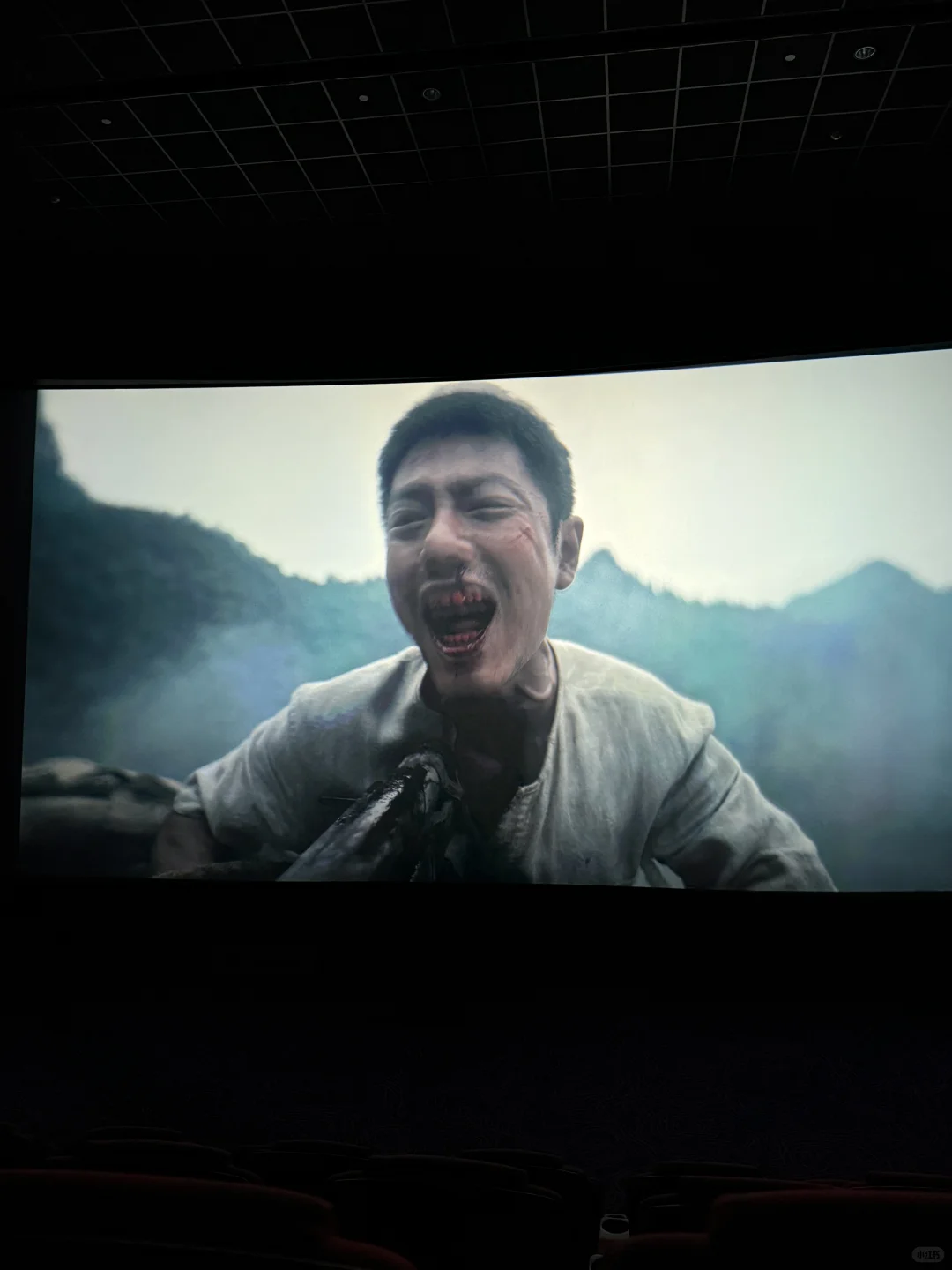 被低估的一部历史电影