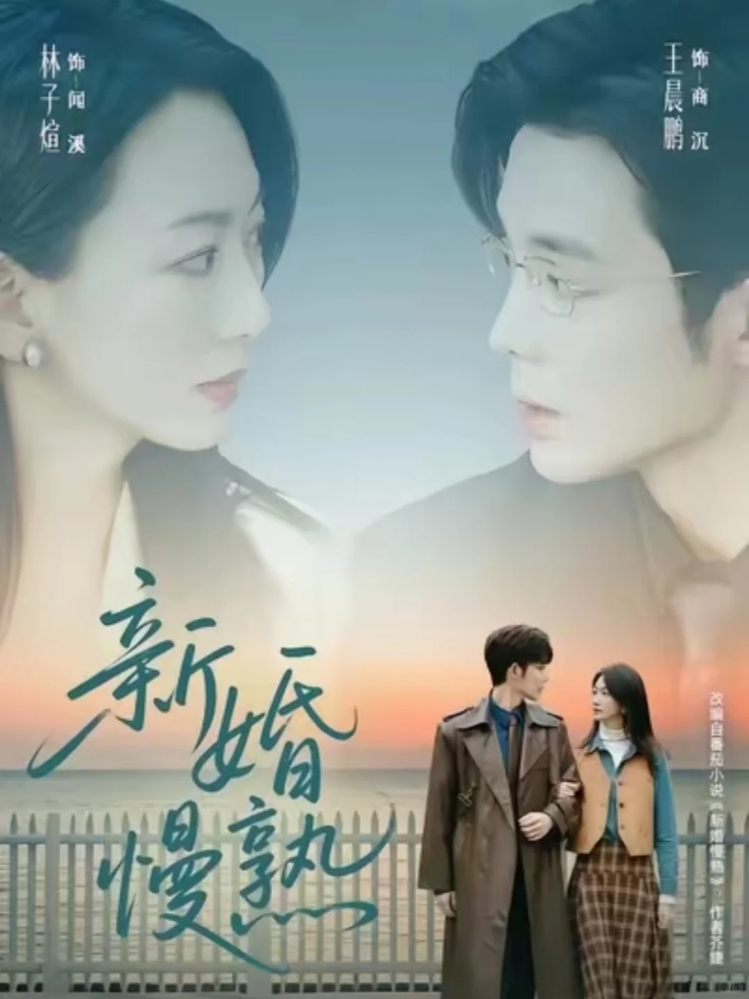 盘点11月高分短剧|你最喜欢哪一部❓