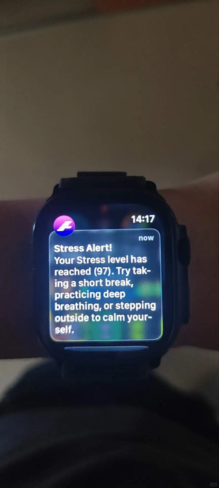 这个APP简直击中了我的需求