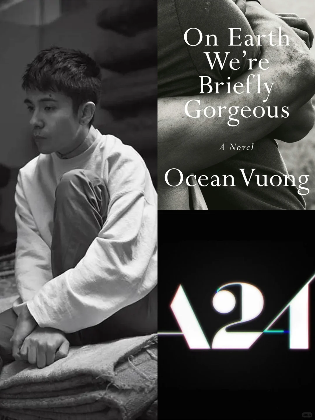 王鸥行这部酷儿之书要被A24改编为电影了