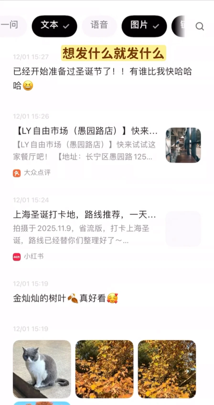 我宣布最适合p人的app出现了！