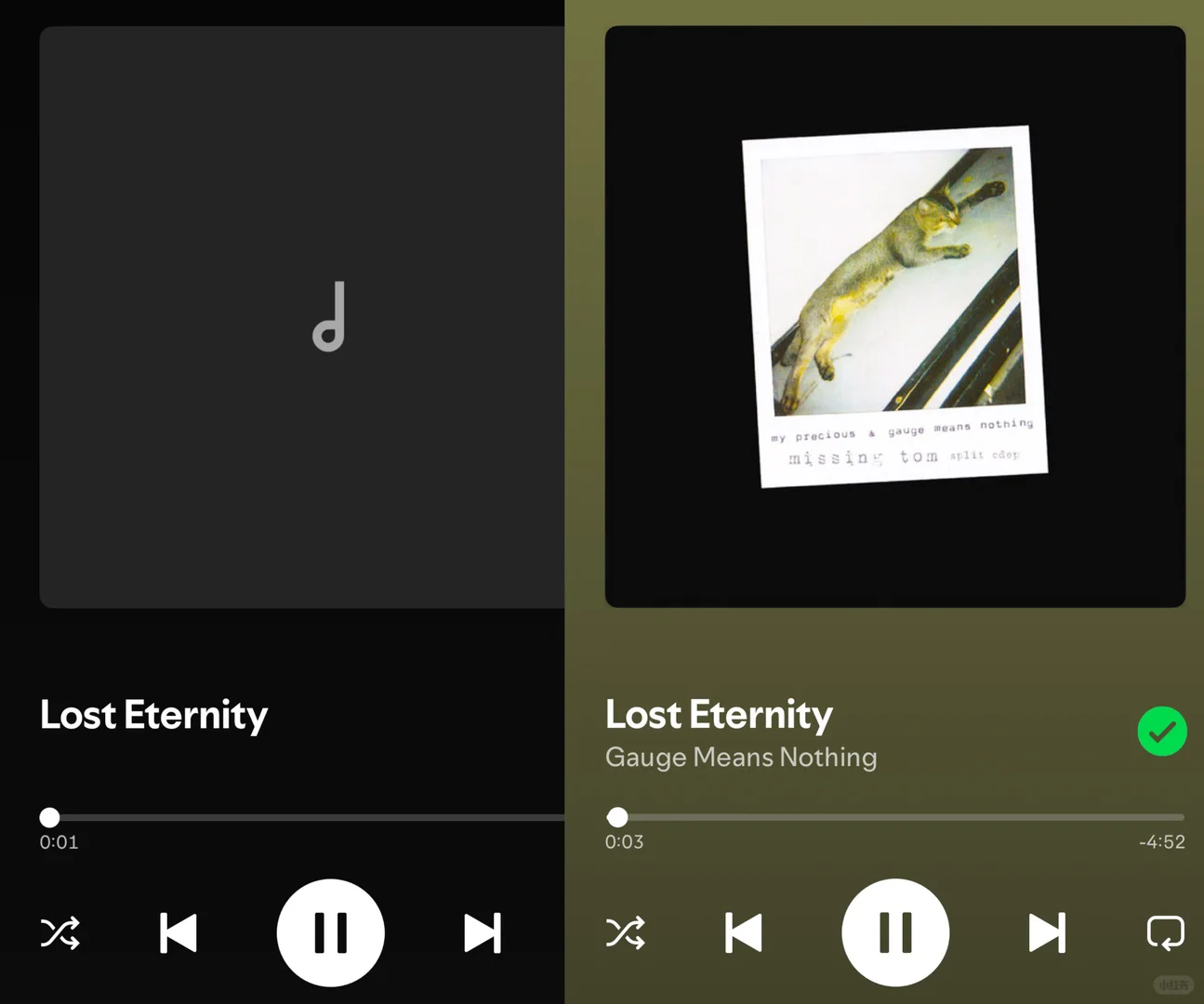 如何在Spotify中导入音乐且正确显示信息