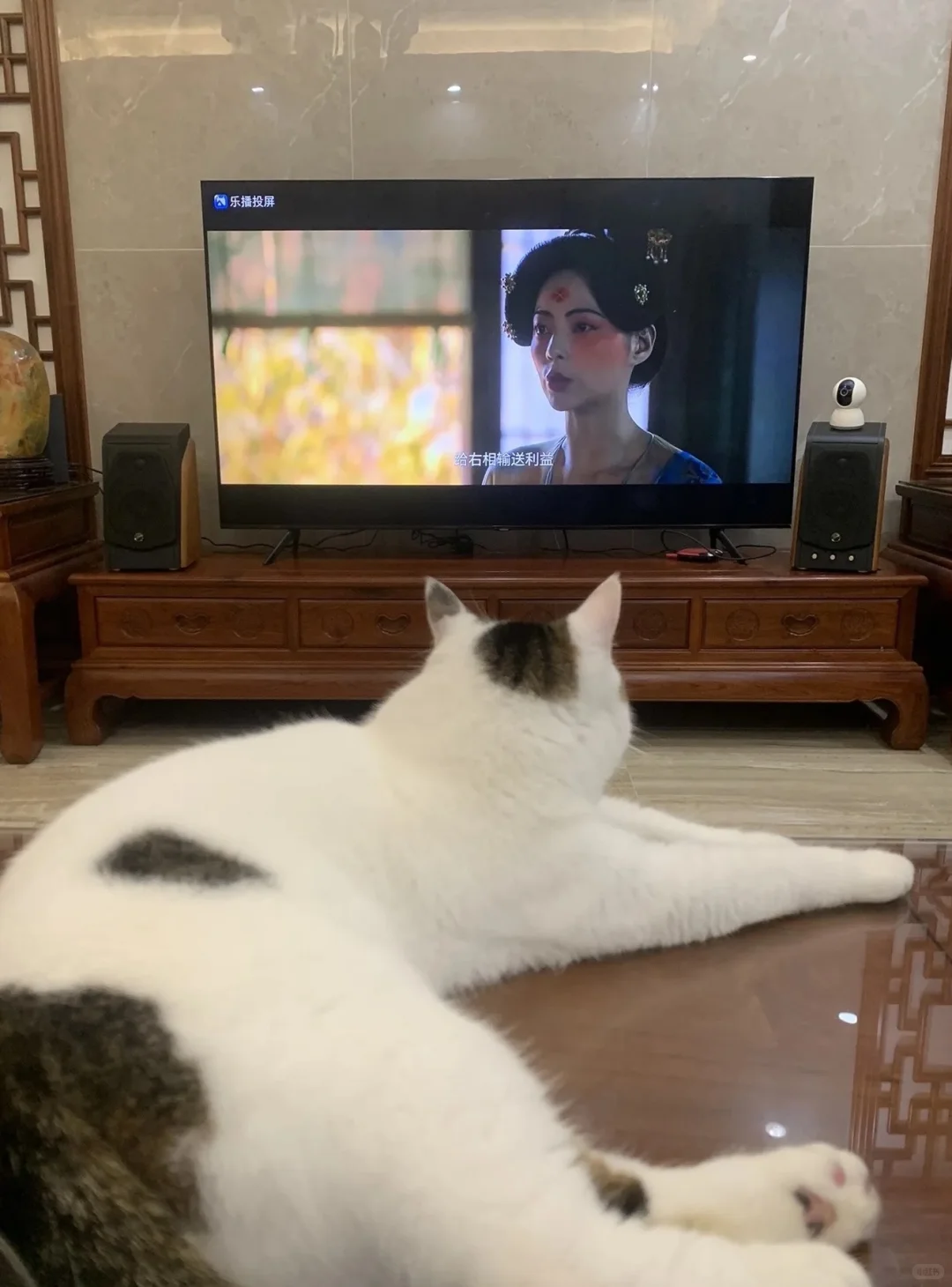 爱刷短剧的普通人！乐播投屏SVIP无广告超爽