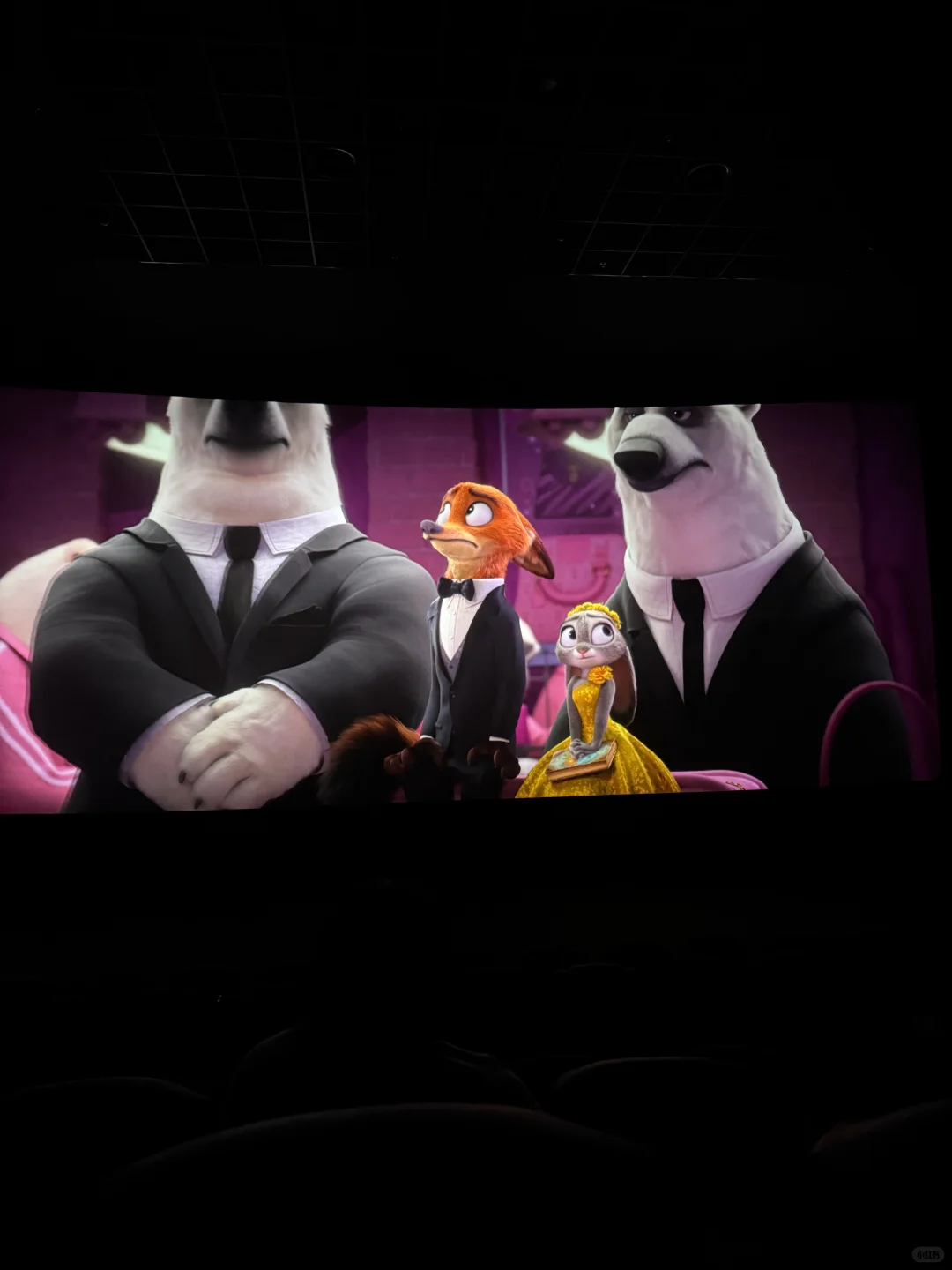 不是第一次一个人去看电影🐰🦊