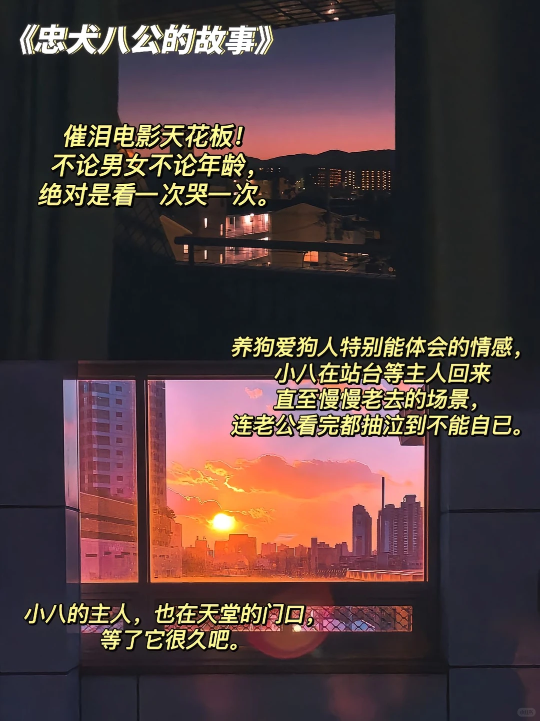 催泪电影推荐❗️后劲很大😭谨慎观看！