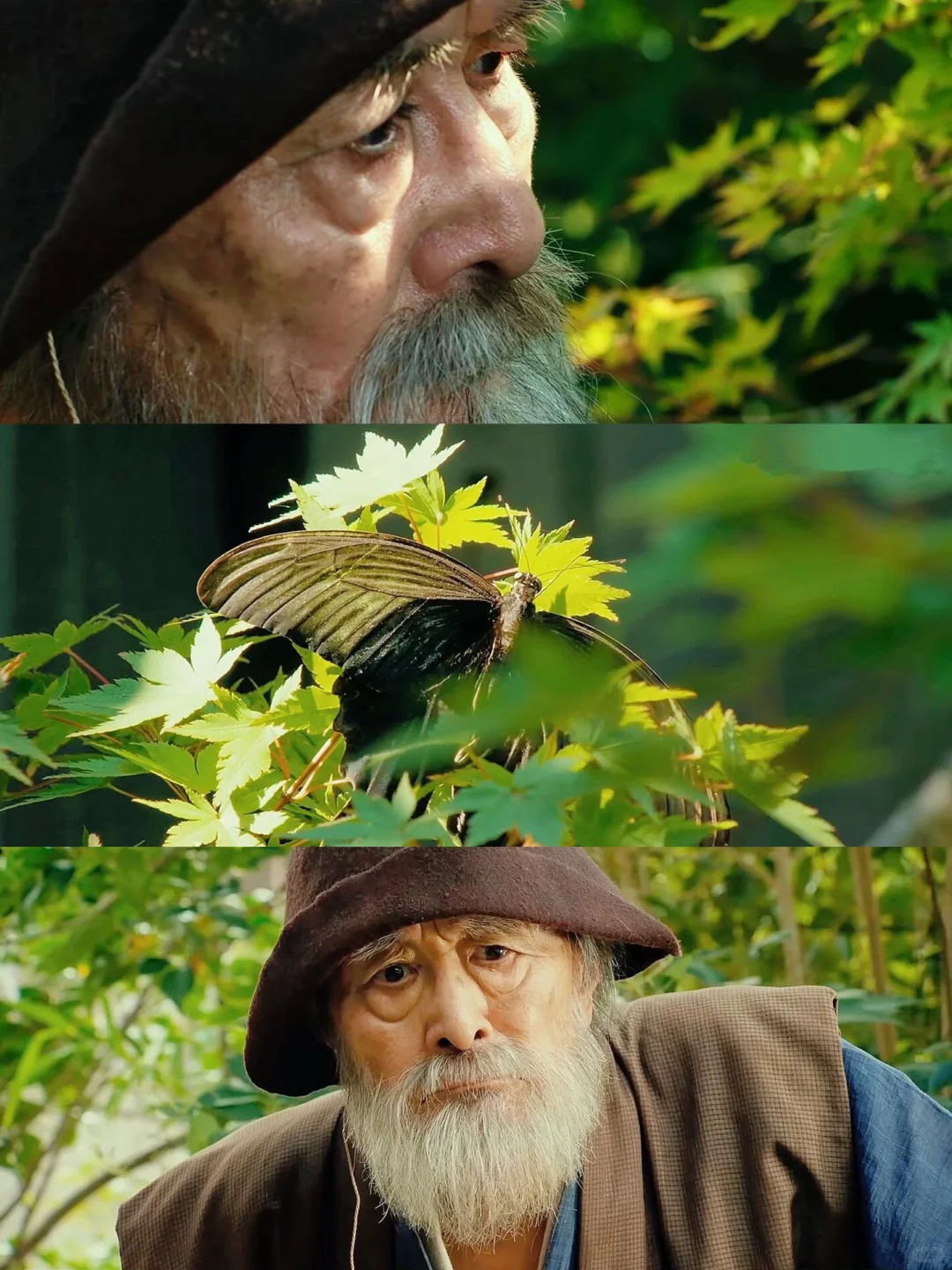 这部电影真的治好了我的焦虑😭