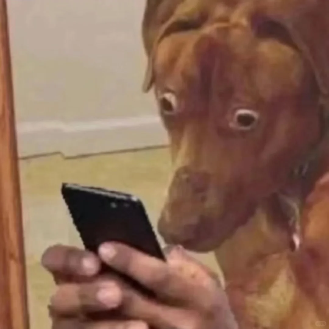 好用到内存满了都舍不得删的安卓APP