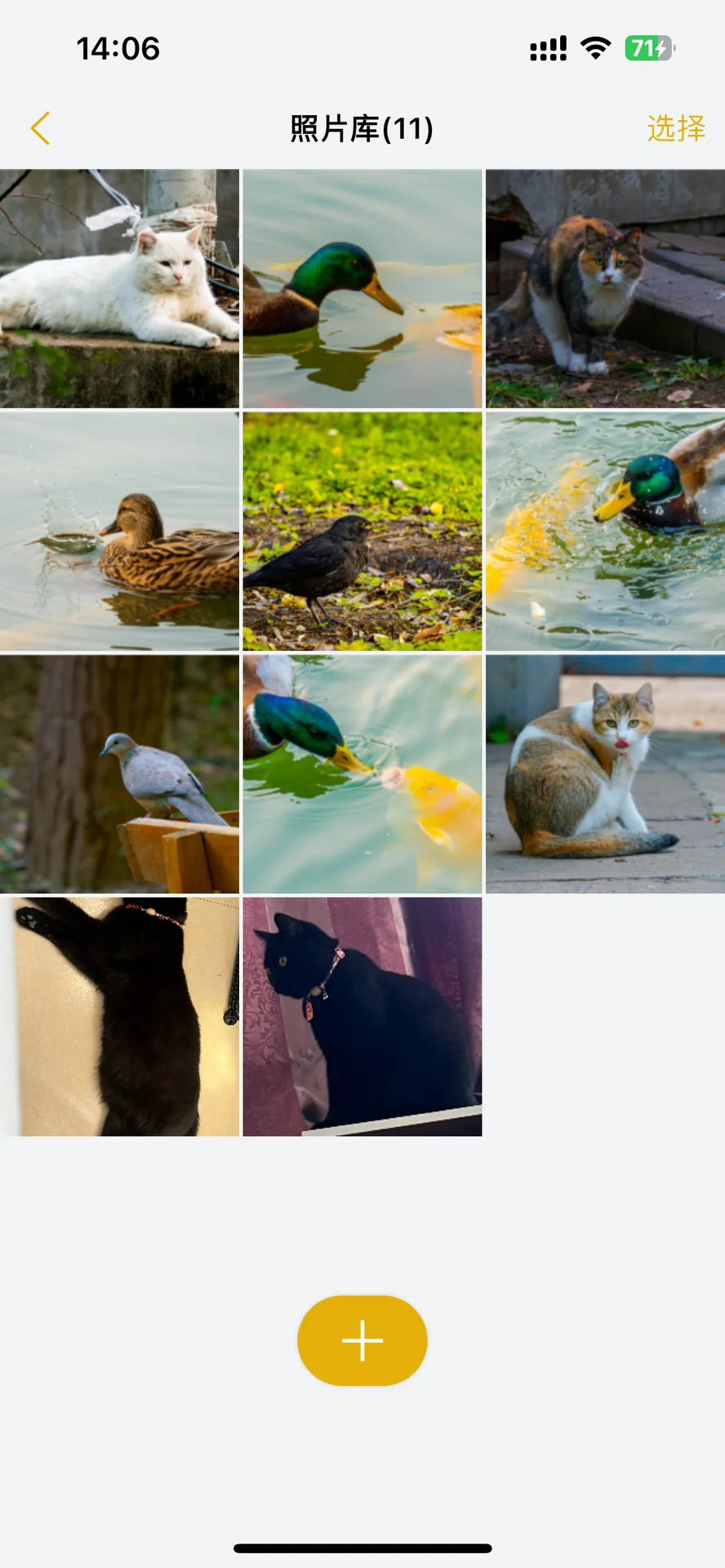 【安卓内测限时开始中～】