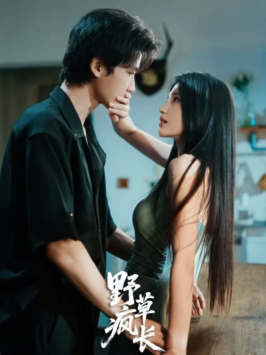 盘点11月高分短剧|你最喜欢哪一部❓