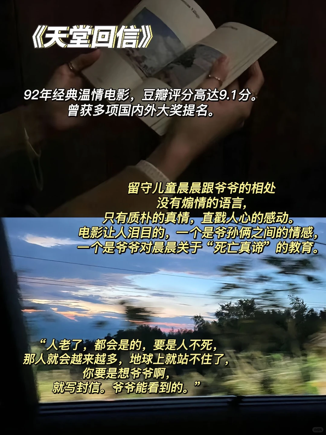 催泪电影推荐❗️后劲很大😭谨慎观看！