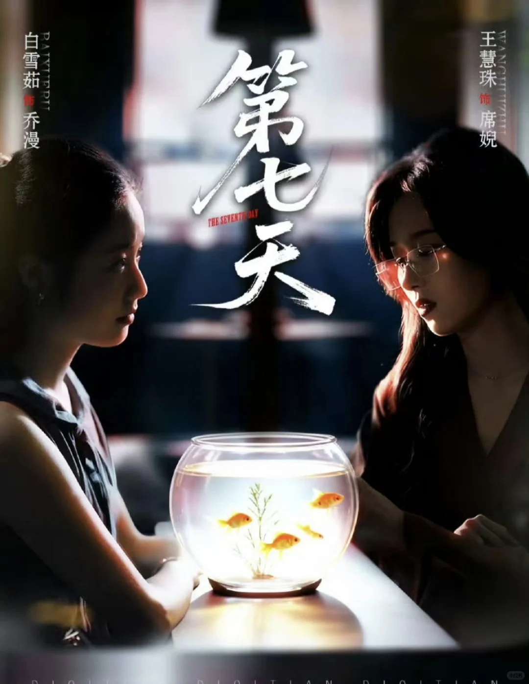 12月6日短剧预告❤️王轩 林枫松上新🥳