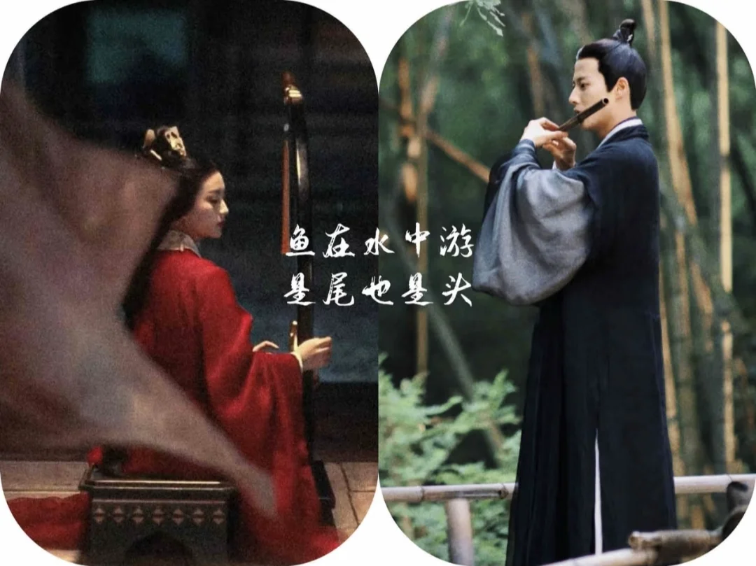 一部正着看倒着看都好看的黑马短剧❗