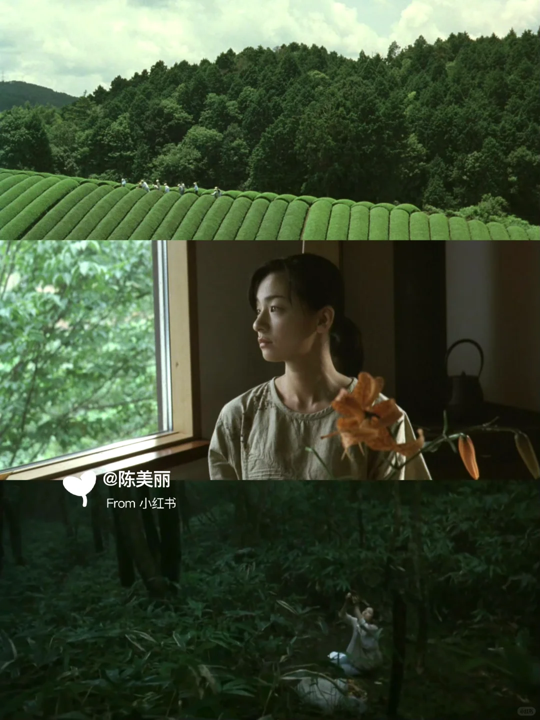 ✨周末观影｜适合窝在沙发看的日本电影清单🍿