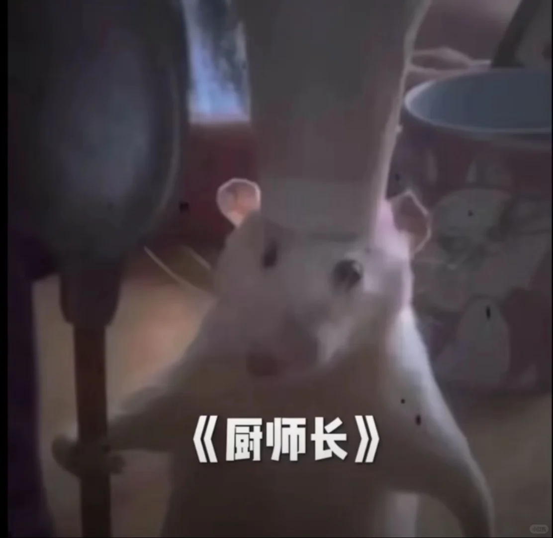 安卓内测开始啦～