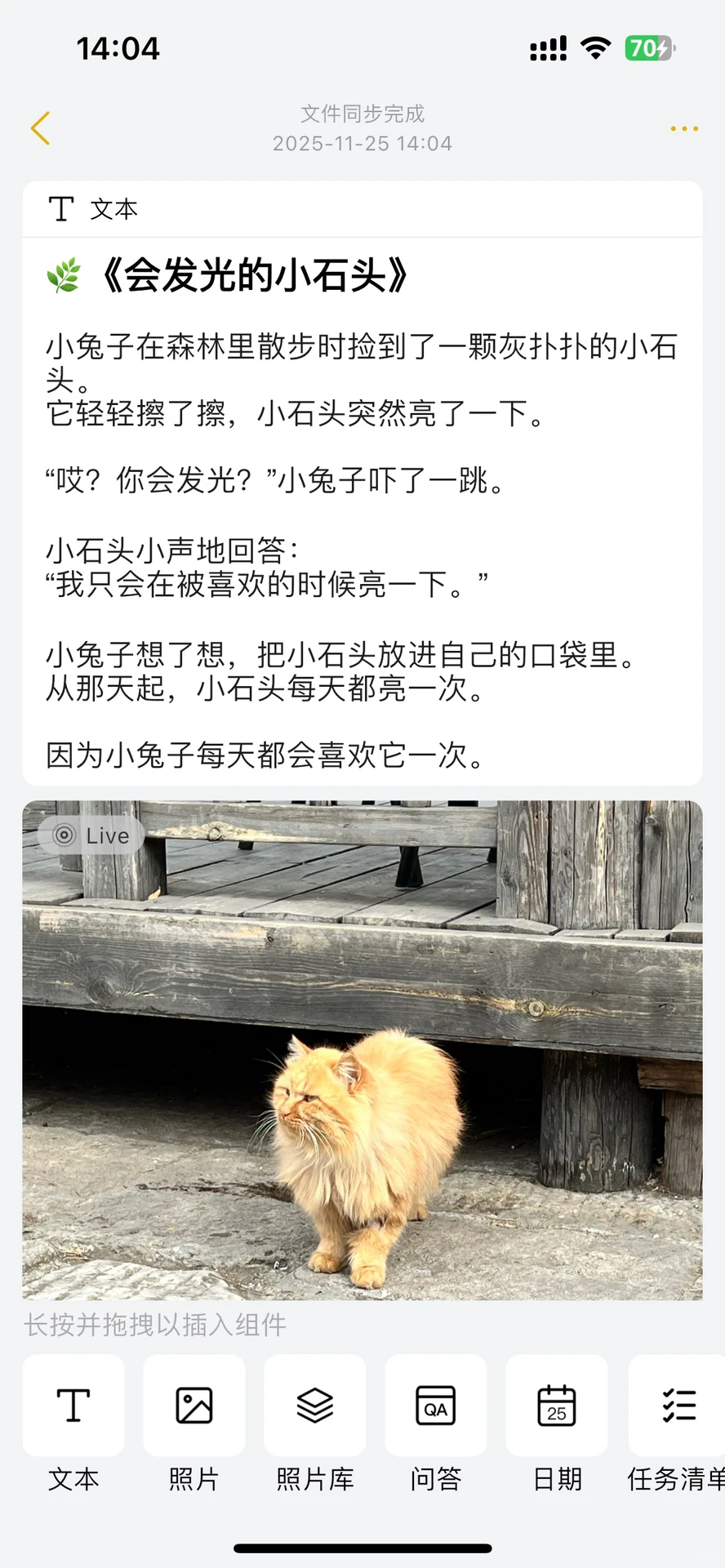 【安卓内测限时开始中～】